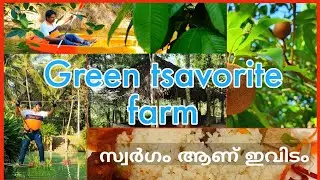 Green tsavorite farm Resort |പാരിപ്പള്ളി | Varkala | സ്വർഗം ആണ് ഇവിടം