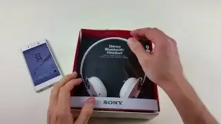 Sony SBH60 Unpacking Unboxing Launch Impressions PL