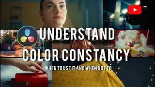 WHAT IS COLOR CONSTANCY
