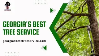 Georgia's Best Tree Service - Tree Service Near Me Senoia, GA | Tree Removal Near Me | Tree Service