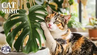Healing Music for Cat 🐱 Cozy Fireplace Room ASMR for Deep Sleep, Healing, Rest
