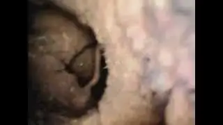 Endoscope camera explores Australian bull ant nest (Myrmecia species)