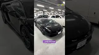 🔰Lamborghini Gallardo, когда машина говорит сама за себя #автоподзаказ #lamborghini #gallardo #car