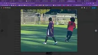 Organizing Photos in Google Drive
