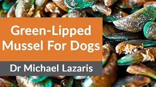 Green-Lipped Mussel For Dogs?