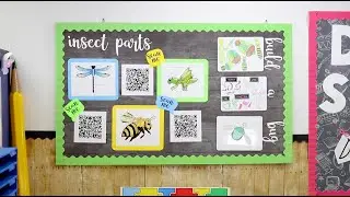 Bulletin Board Design: Insect Parts