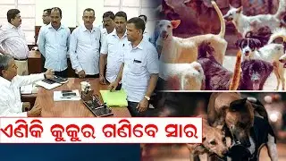 ଏଣିକି କୁକୁର ଗଣିବେ ସାର | Teacher And Dog Issue | Delhi Govt | Count Stray Dogs | News Room |