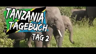 Tanzania Tagebuch | Tag 2 - Tarangire