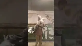 HEHEH #dance #furry #fursuit #fursuiters #furries #furmeet #antizoo