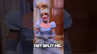 Man Haalt Grap Uit Bij Disney Karakters!😂🤦