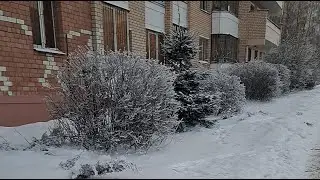 Смачно в прямом эфире!