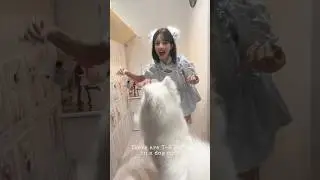 INDIAN GIRL IN DOG CAFE?😱 #indian #japan #cute #viralvideo #dog #dogcafe #cafe #hindi #cosplay