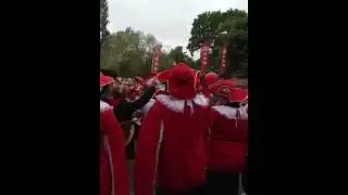 Toulon fans pre amlin challenge cup final 2012