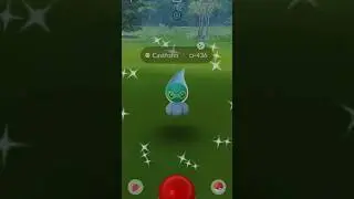 Catching All Shiny Castform Versions ✨️#shiny #pokemon #games #luckyshiny #pokemongo #shinypokemon
