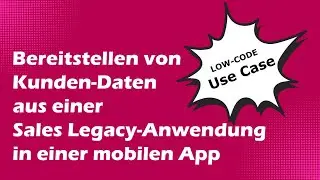 Use-Case Low-Code: mobile Sales Anwendung