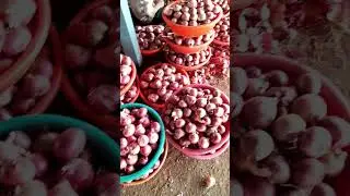 Kerla Onion 🌰 Supplier | Wholesale &  Export | Unique Business Idias 85820-61184 Pan India Supply