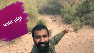 Wildlife experience in Pakistan forest | PakistaniHitchhiker
