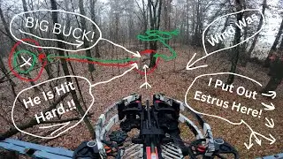 Huge 8 Point Illinois Buck Down (Part 1) Ravin R-10 Crossbow