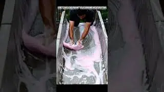 The 