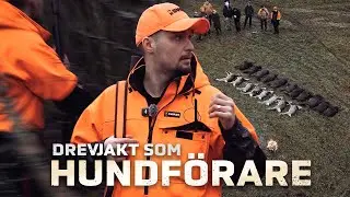 Drevjakt som hundf&ouml;rare - Viltrika marker! | Jakt &auml;r Jakt