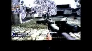cod 5 ptrs 41 the beast