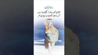 It's true 🥺🥀💯 #fyp #fypviral  #foryoupage #urdupoetry  #trending #shorts #deeplines  #trueline