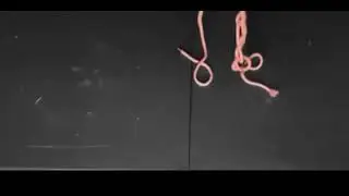Mastering the Art of Shibari: Daisy Chain Unraveling Step-by-Step Tutorial