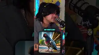 Pigeons are robots! Comment PIGEONS