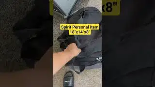 Личный предмет Spirit Airlines 18x14x8