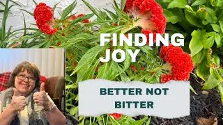 Thriving at 60+: Things I Love More Every Day