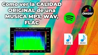 Como ver la CALIDAD ORIGINAL de una MUSICA MP3, WAV, FLAC