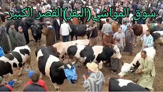 رحبة سوق البقر سوق اولاد احمايد القصر الكبير العرائش شاهد خيرات المغرب سوق عيد الأضحى {الجزء الاول}