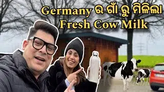 Germany ର ଗାଁ ରୁ ମିଳିଲା Fresh Milk ର ATM Machine 😱 | 24 hours fresh Milk | #odia #odiavlog