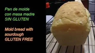 Pan de molde con masa madre Sin Gluten