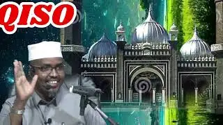QISO cajib 