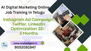 Instagram Ad Campaign, Twitter, LinkedIn Optimization Free Digital Marketing Online Class 32