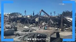 Oprah and &lsquo;The Rock&rsquo; launch charity for Maui fire victims | NewsNation Live