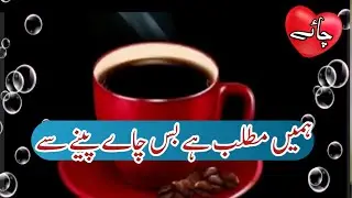 Tea Poetry WhatsApp Status | Chai Poetry | #Shorts | Tea Status | Tea Poetry | Tea lover status