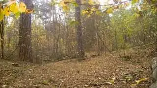 Vacation Video (freerunning)