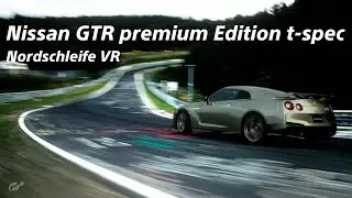 one Leg Driver 🦿 | Nissan GTR t-spec | Nordschleife | VR