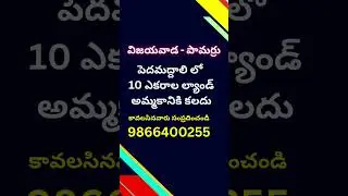 Land for Sale in Pedamaddali | Pamarru | Vijayawada | పెదమద్దాలి | 9866400255 | #krishnadistrict
