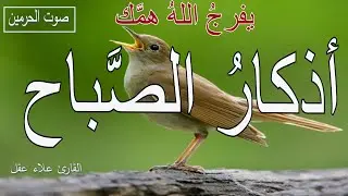 أذكار الصباح  | راحة نفسية لا توصف|  بصوت القارئ علاء عقل | Morning Athkar - Dzkir Pagi