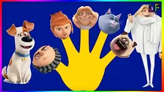 Despicable me Secret Life of pets finger family song