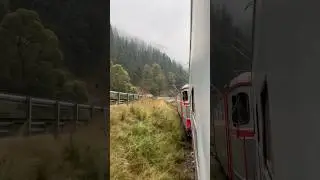 Night Train in Romania 🇷🇴