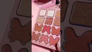 Butterfly Makeup M1114