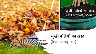 V:130 || How to make leaf compost | पत्तों की खाद | Leaf Mold for Organic Gardening |