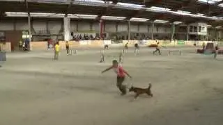 Agility SM 2015 Finale - Aur&eacute;lie & Hoops - Agility