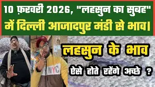 लहसुन में तेजी के समीकरण ये है? Azadpur Delhi Mandi Today 10-02-2026 को बने ऐसे Garlic Price DMT TV