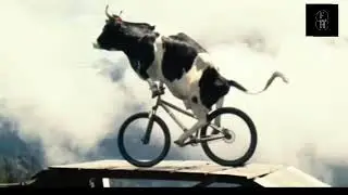 Cow Dance🤣 Funny Video|| Cow Cycling In real 😱|| Subscribe For More Videos||