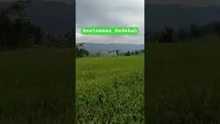 7 Keutamaan Sedekah